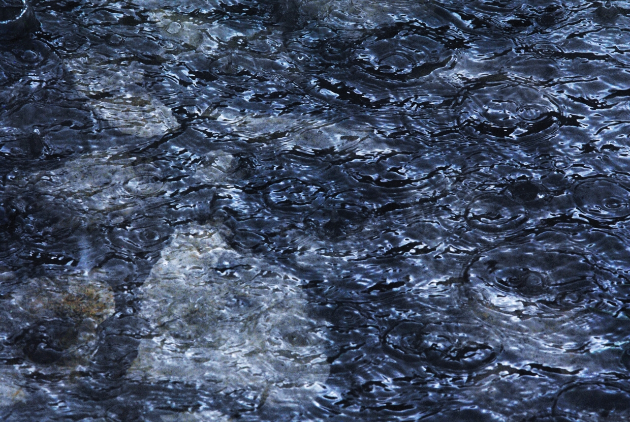Fotó: Wojciech Dąbek / Unsplash